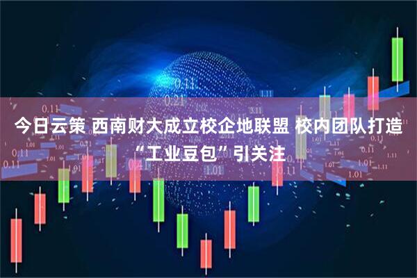 今日云策 西南财大成立校企地联盟 校内团队打造“工业豆包”引关注