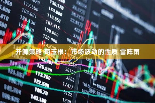 开源策略 荀玉根：市场波动的性质 雷阵雨