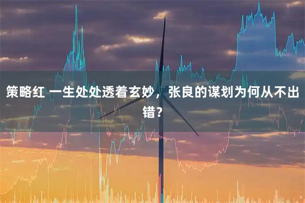 策略红 一生处处透着玄妙，张良的谋划为何从不出错？