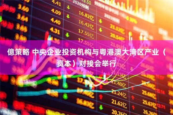 億策略 中央企业投资机构与粤港澳大湾区产业(资本)对接会举行