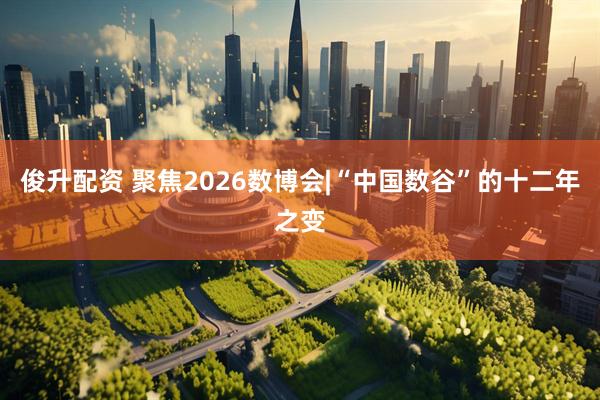 俊升配资 聚焦2026数博会|“中国数谷”的十二年之变